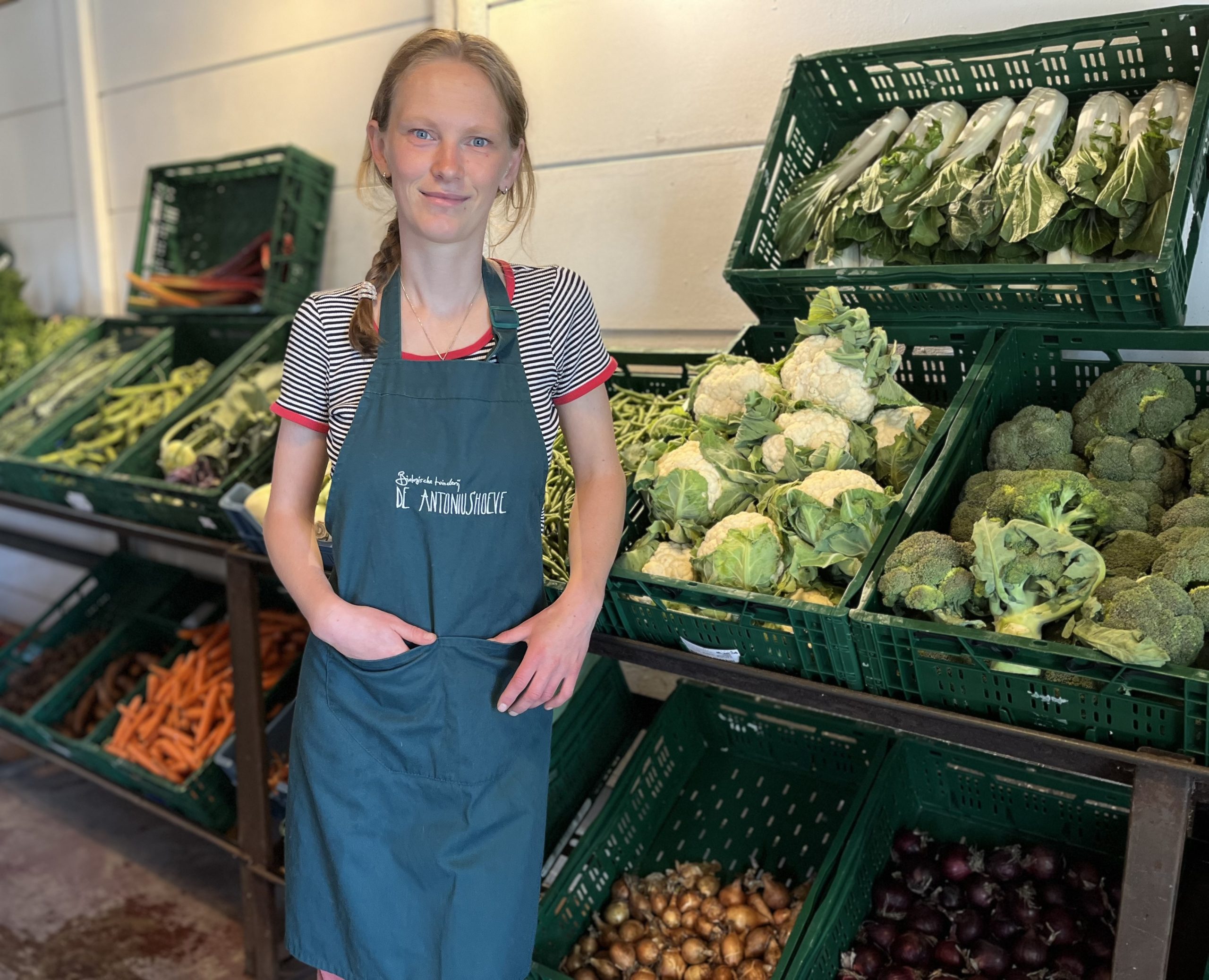 info@tuinderijdeantoniushoeve.nl