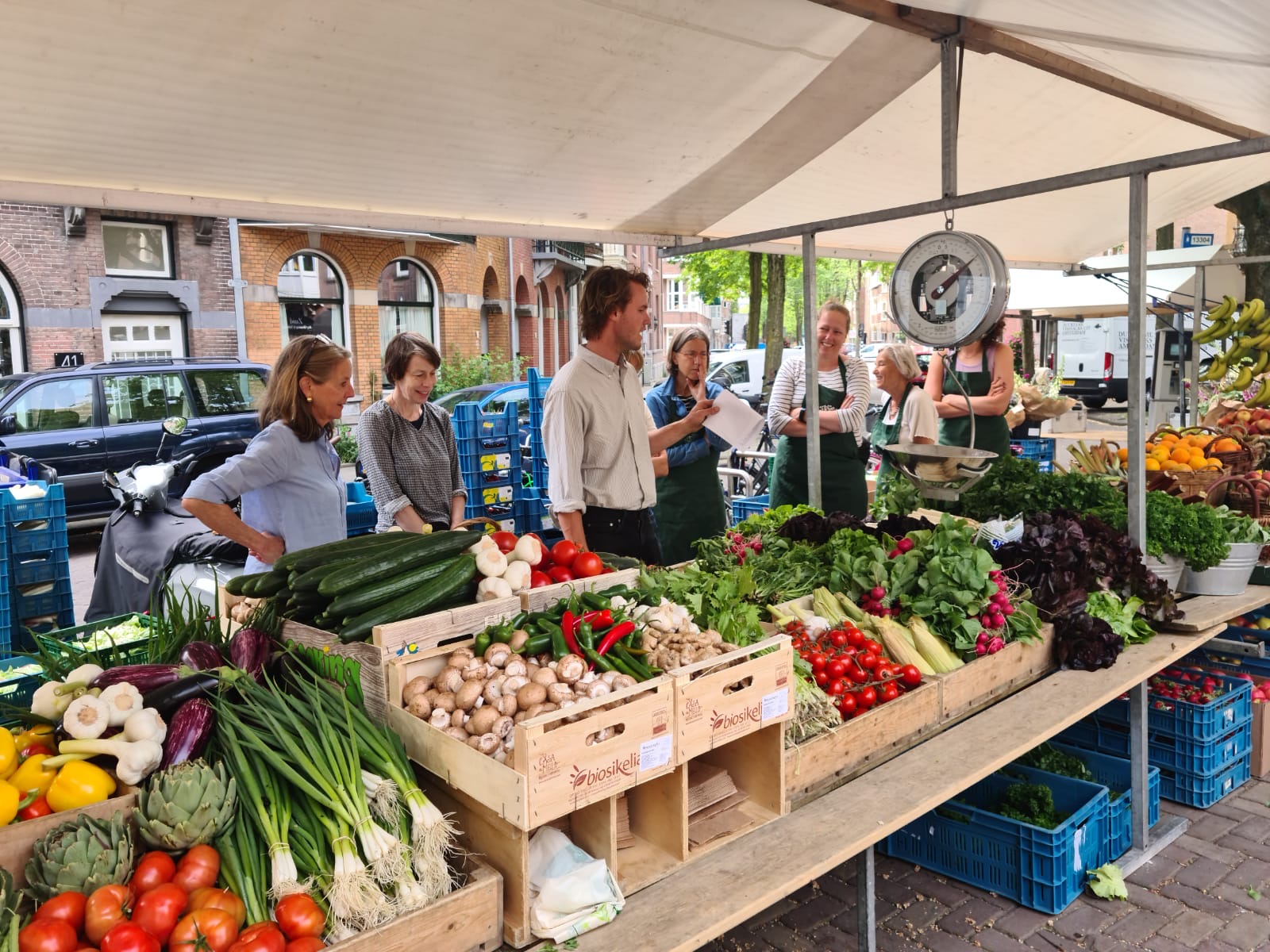 info@tuinderijdeantoniushoeve.nl